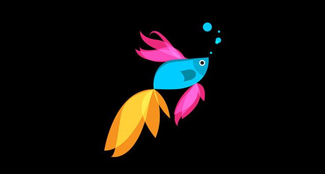 beta_fish.jpg